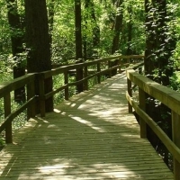 chattanooga-arboretum-and-garden-nature-center